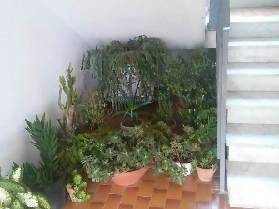 Immagine 11 di Appartamento in vendita  in Via Case Sparse Tora a Tora E Piccilli