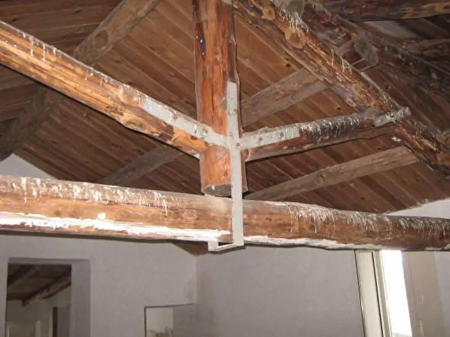 Immagine 3 di Casa indipendente in vendita  in MARZANO APPIO a Marzano Appio