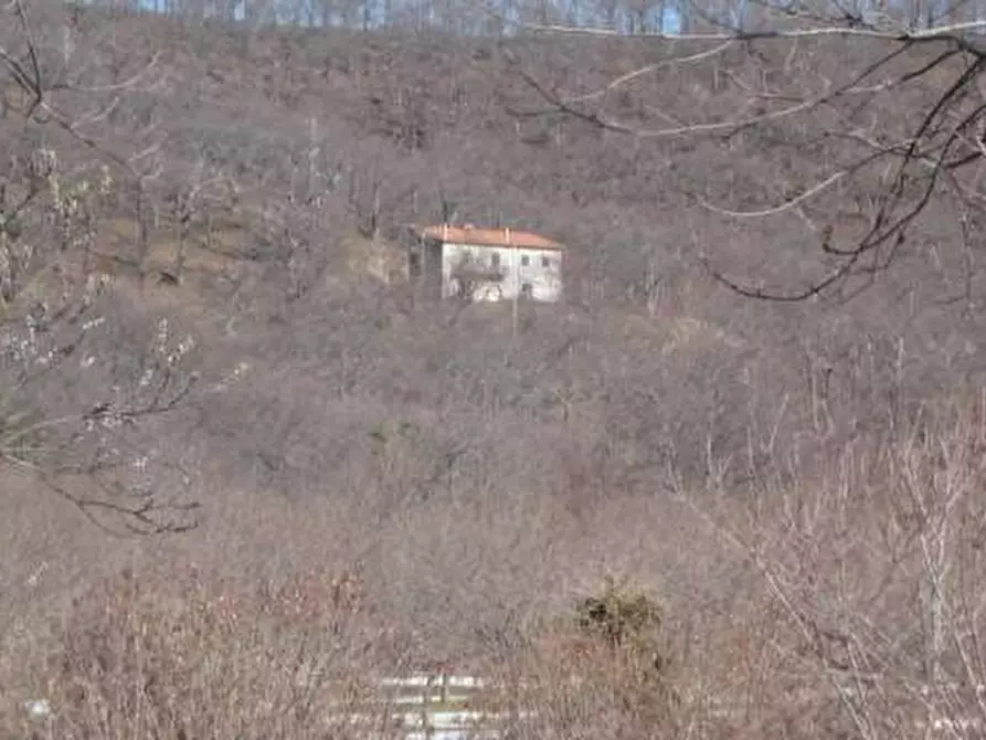 Immagine 7 di Terreno industriale in vendita  in ROCCAMONFINA a Roccamonfina