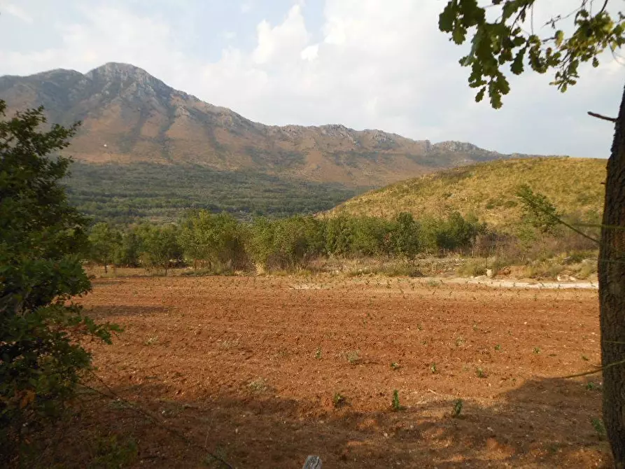 Immagine 1 di Terreno industriale in vendita  in VIA VICINALE a San Pietro Infine