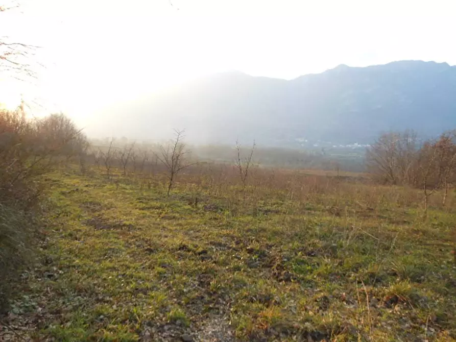Immagine 2 di Terreno industriale in vendita  in SP KM 26 a Galluccio