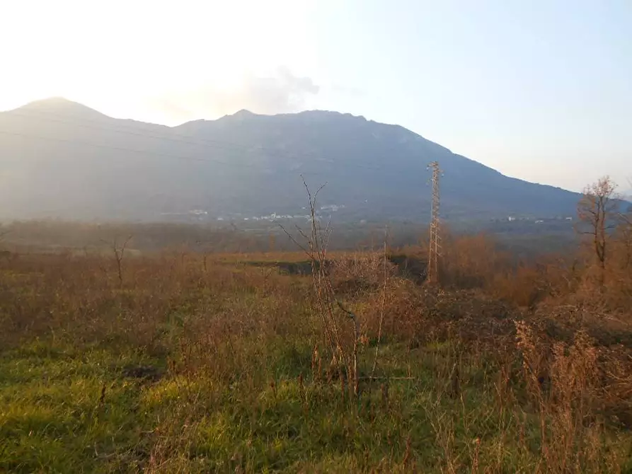 Immagine 5 di Terreno industriale in vendita  in SP KM 26 a Galluccio