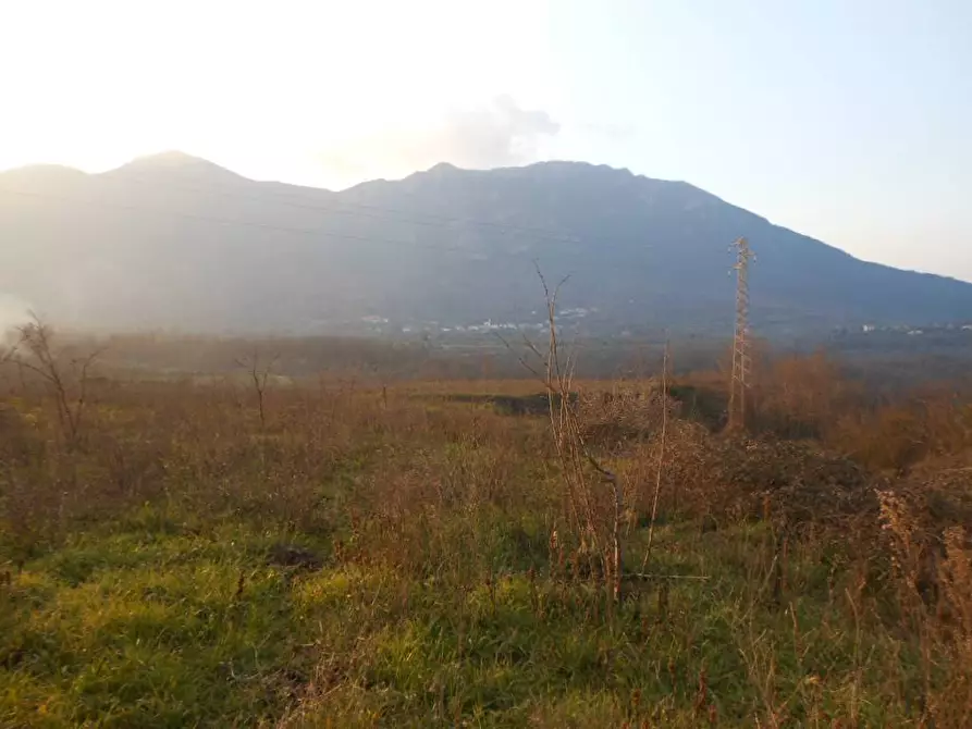 Immagine 6 di Terreno industriale in vendita  in SP KM 26 a Galluccio