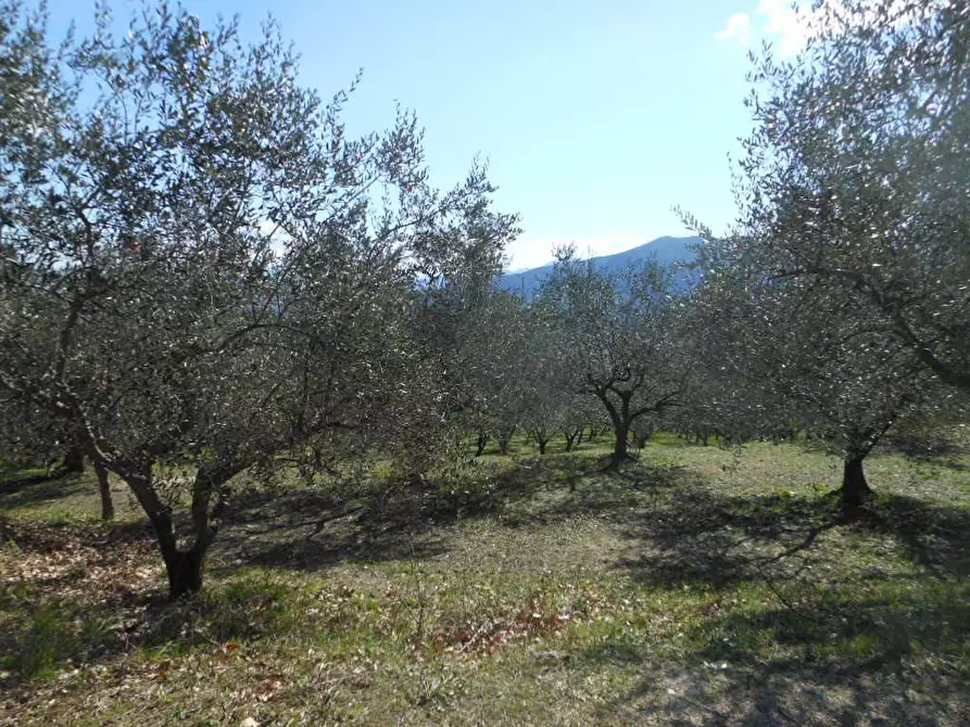 Immagine 10 di Terreno industriale in vendita  in PRATELLA a Pratella