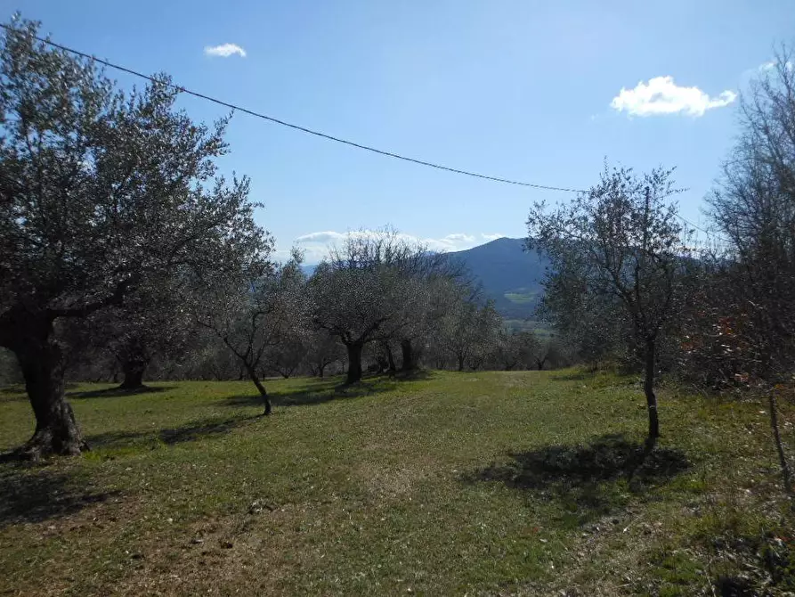 Immagine 11 di Terreno industriale in vendita  in PRATELLA a Pratella
