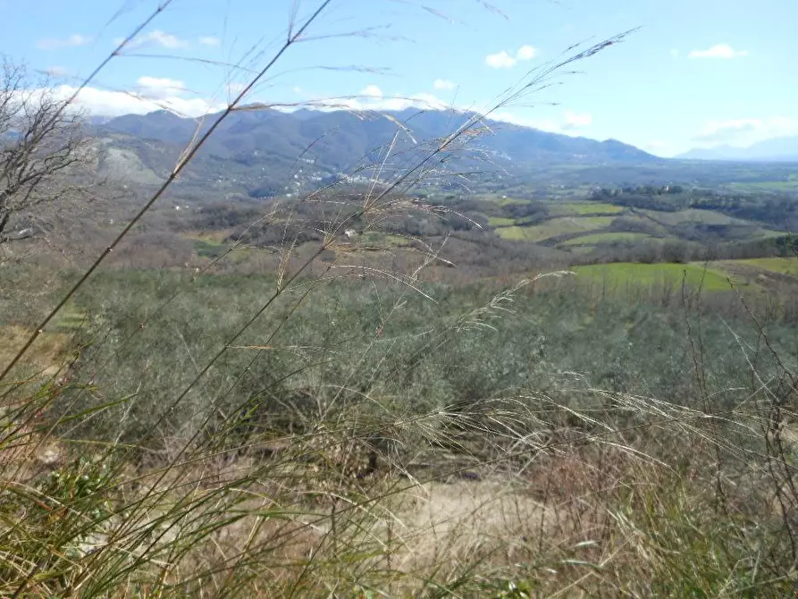 Immagine 12 di Terreno industriale in vendita  in PRATELLA a Pratella