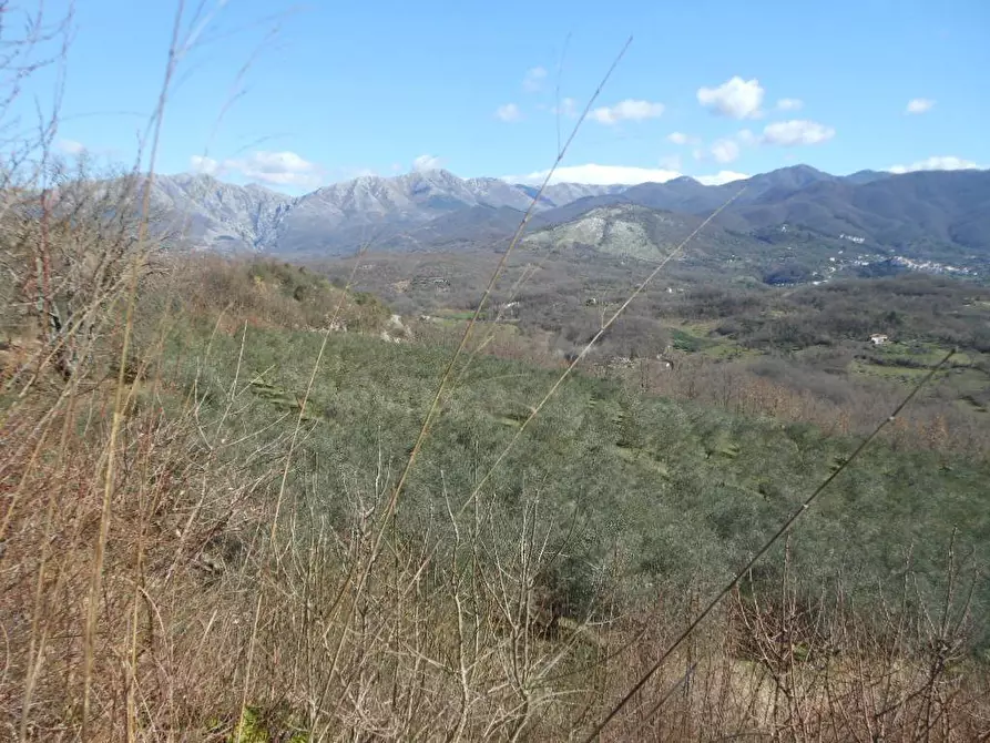 Immagine 13 di Terreno industriale in vendita  in PRATELLA a Pratella