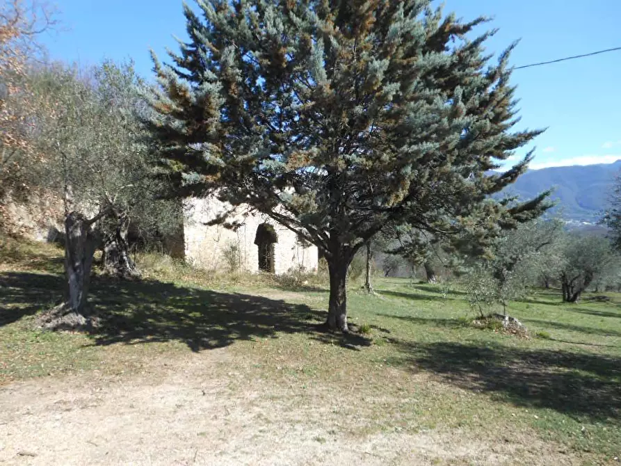 Immagine 14 di Terreno industriale in vendita  in PRATELLA a Pratella