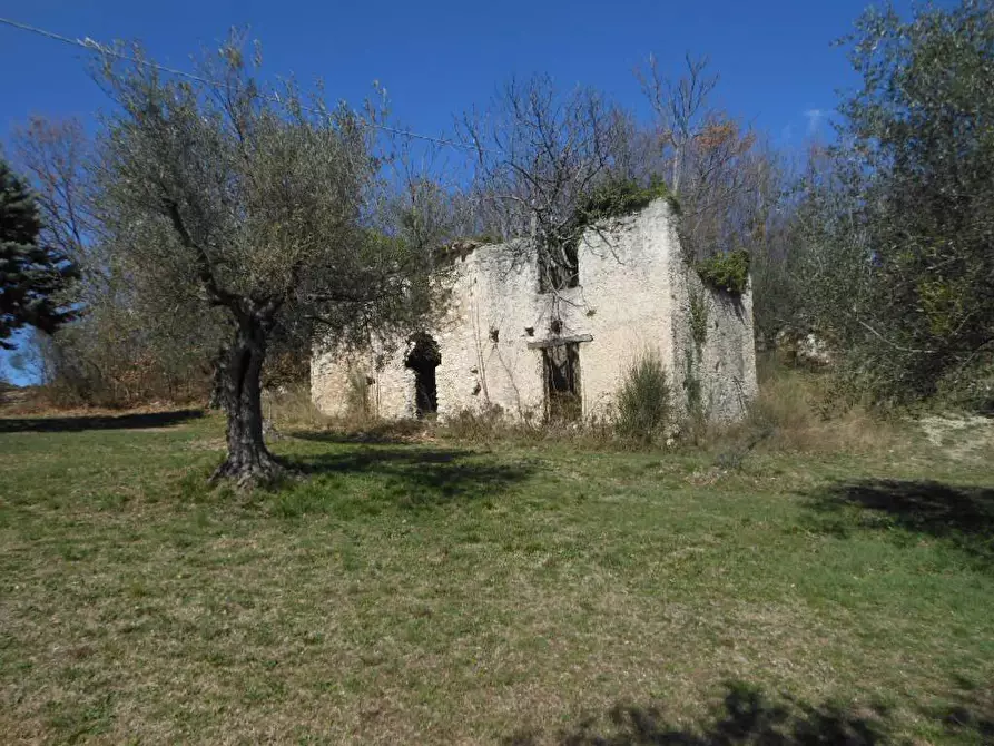 Immagine 3 di Terreno industriale in vendita  in PRATELLA a Pratella