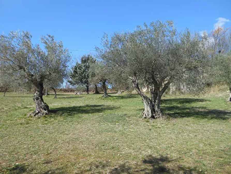 Immagine 4 di Terreno industriale in vendita  in PRATELLA a Pratella