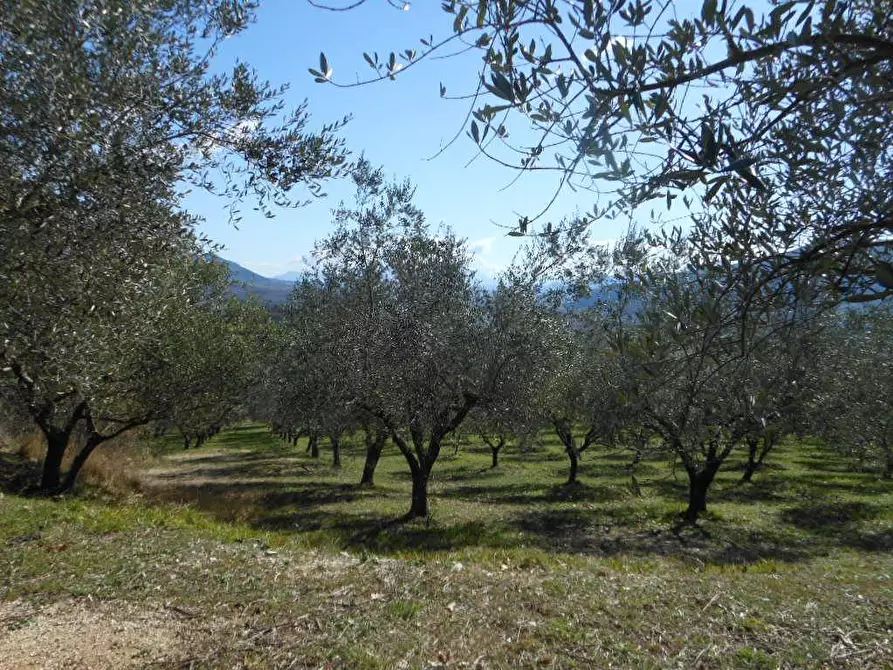Immagine 6 di Terreno industriale in vendita  in PRATELLA a Pratella