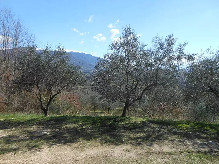 Immagine 8 di Terreno industriale in vendita  in PRATELLA a Pratella