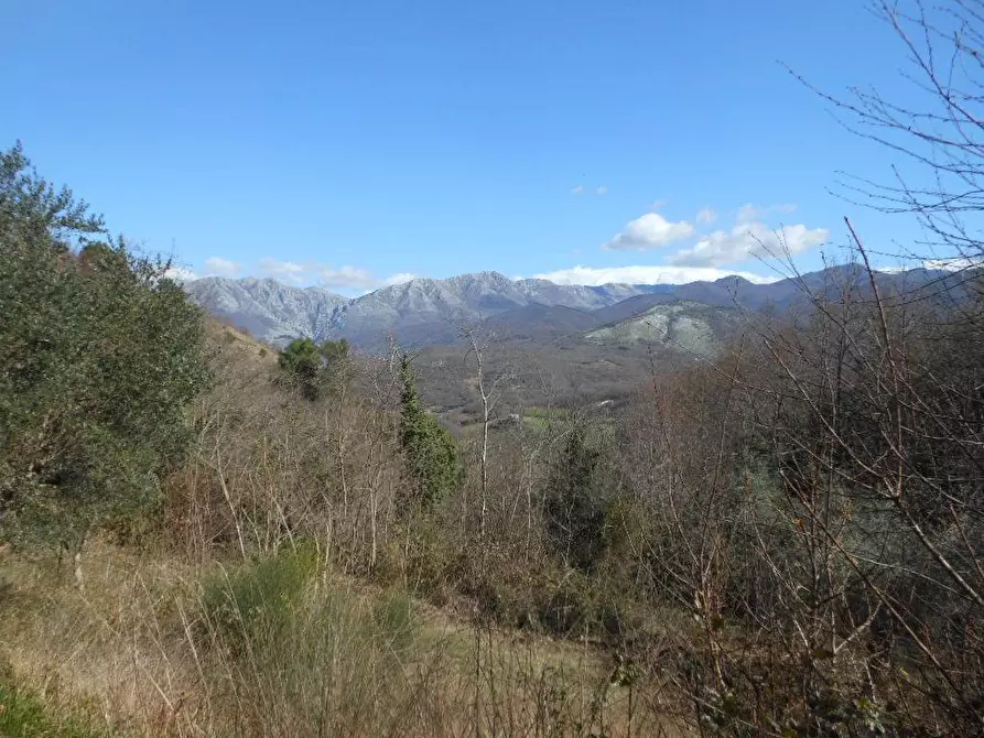 Immagine 9 di Terreno industriale in vendita  in PRATELLA a Pratella