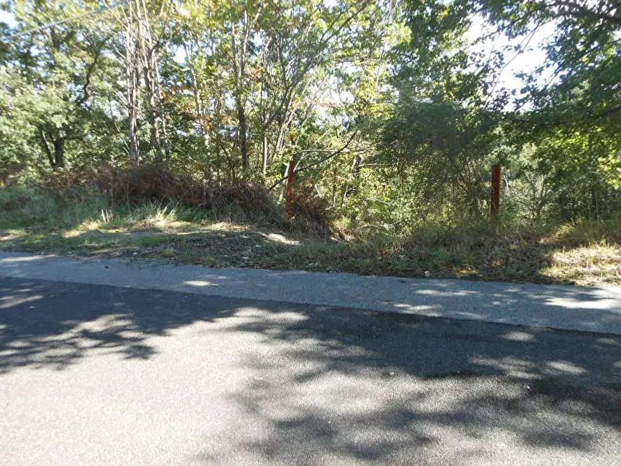 Immagine 5 di Terreno industriale in vendita  in via provinciale a Marzano Appio