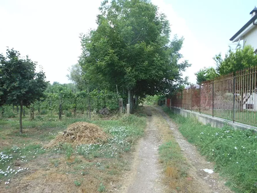 Immagine 1 di Terreno industriale in vendita  in Via Risorgimento a Vairano Patenora