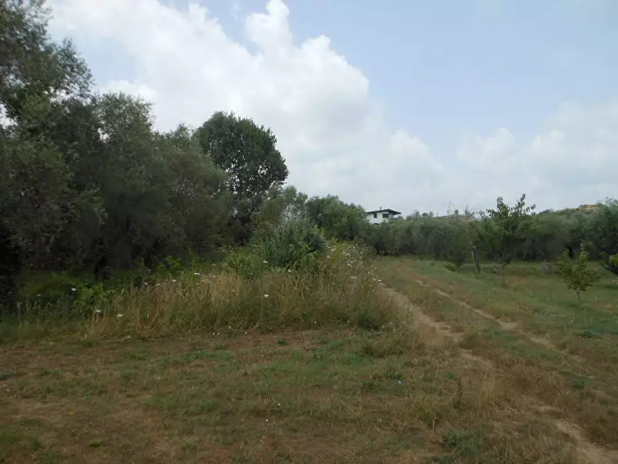Immagine 2 di Terreno industriale in vendita  in Via Risorgimento a Vairano Patenora