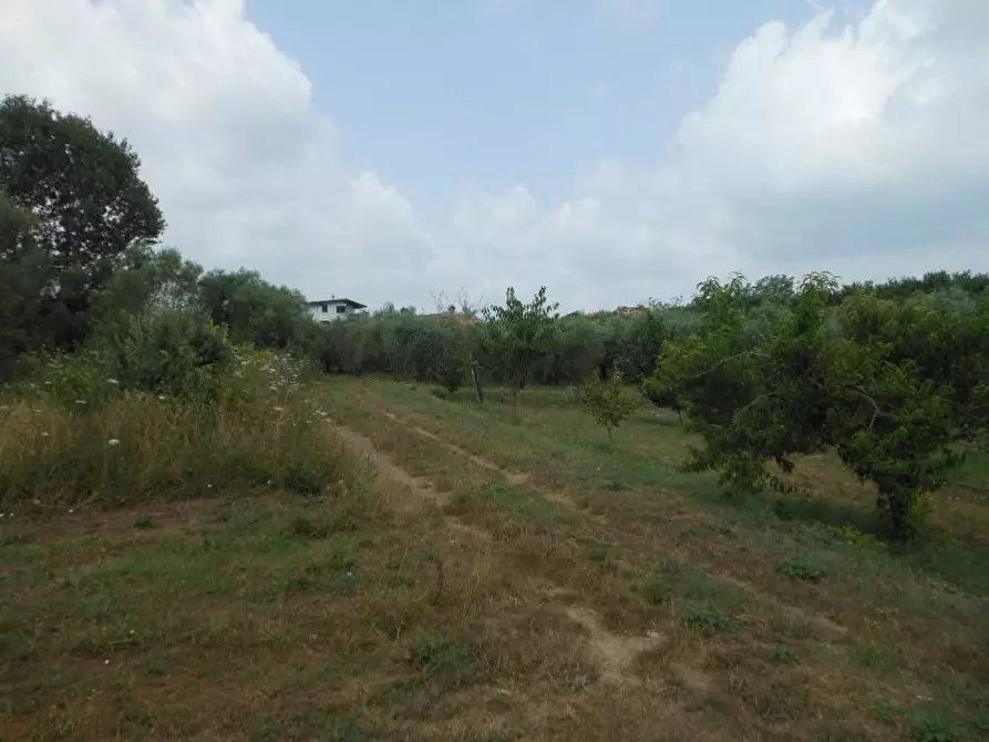 Immagine 3 di Terreno industriale in vendita  in Via Risorgimento a Vairano Patenora