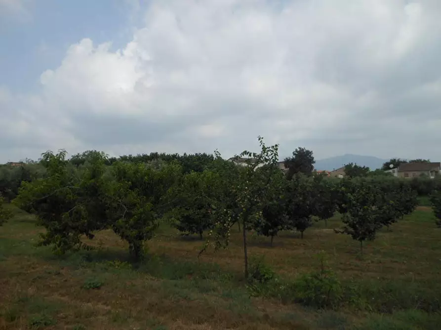 Immagine 4 di Terreno industriale in vendita  in Via Risorgimento a Vairano Patenora