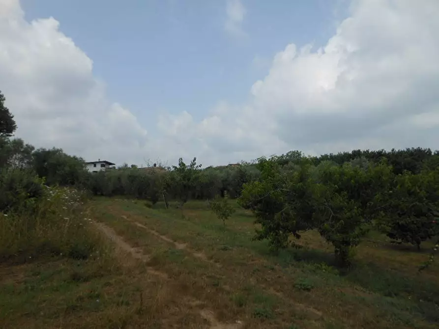 Immagine 5 di Terreno industriale in vendita  in Via Risorgimento a Vairano Patenora