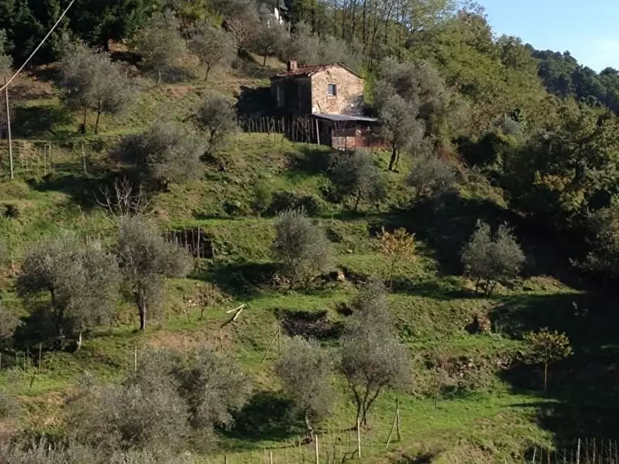 Immagine 12 di Villa in vendita  in tra la costa 5 a Podenzana