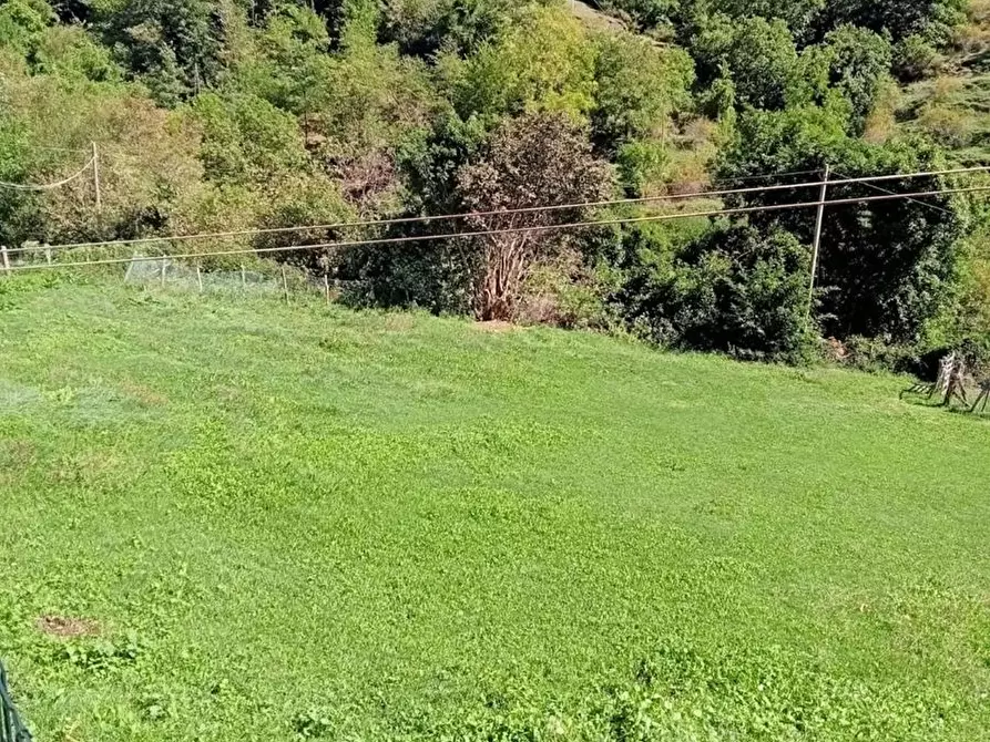 Immagine 9 di Casa indipendente in vendita  in Orneto 3 a Sesta Godano