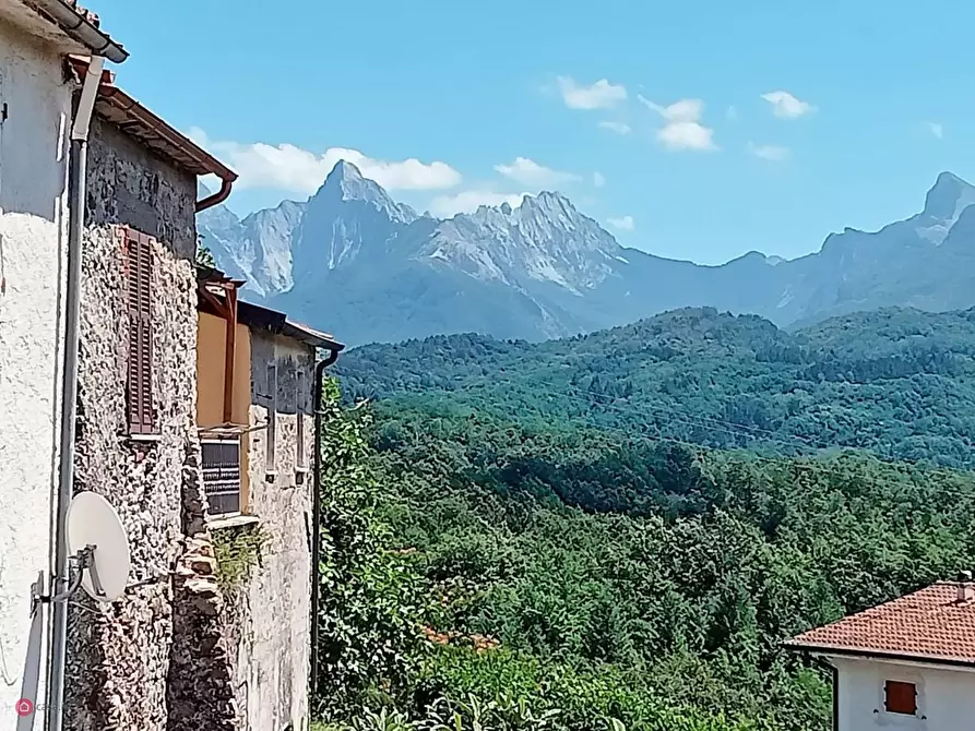 Immagine 11 di Appartamento in vendita  in Collecchia alta a Fivizzano