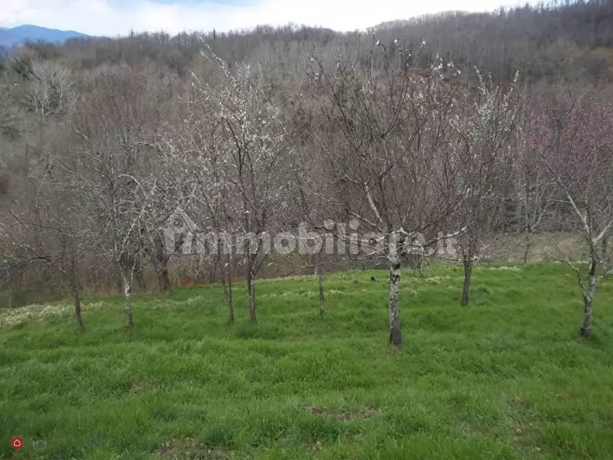 Immagine 11 di Appartamento in vendita  in Via Aia del Goggio a Villafranca In Lunigiana