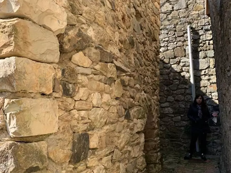 Immagine 17 di Rustico / casale in vendita  in Scogna superiore a Sesta Godano