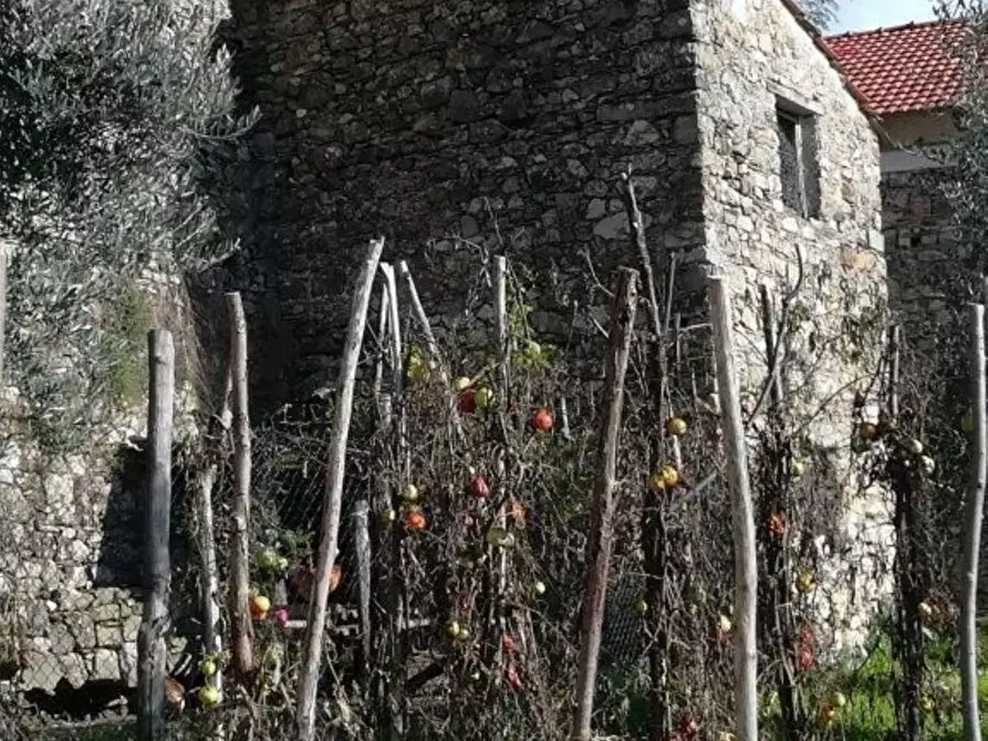 Immagine 19 di Rustico / casale in vendita  in Scogna superiore a Sesta Godano