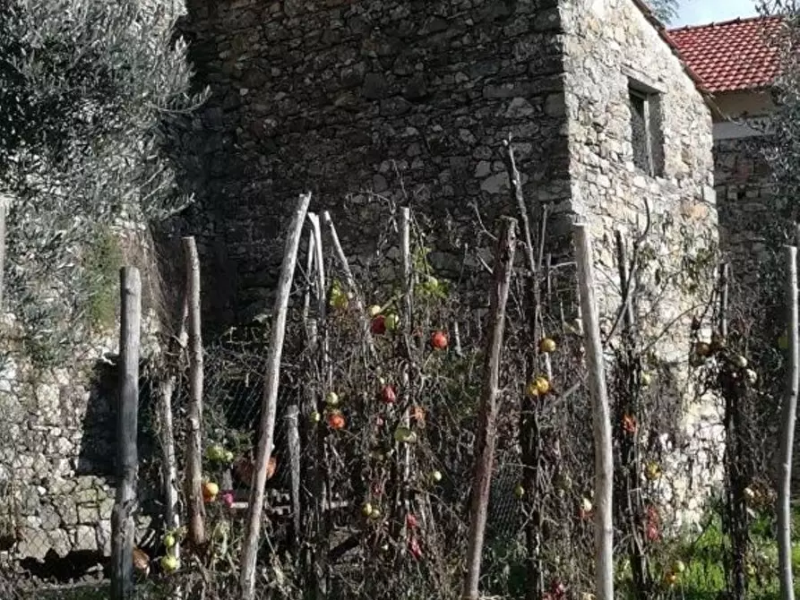 Immagine 8 di Rustico / casale in vendita  in Scogna superiore a Sesta Godano