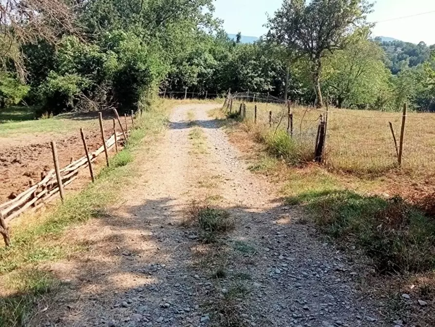 Immagine 14 di Appartamento in vendita  a Villafranca In Lunigiana