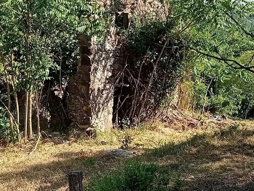 Immagine 19 di Appartamento in vendita  a Villafranca In Lunigiana