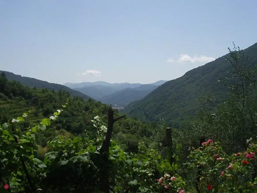 Immagine 8 di Casa indipendente in vendita  in Via della Costa 1 a Sesta Godano