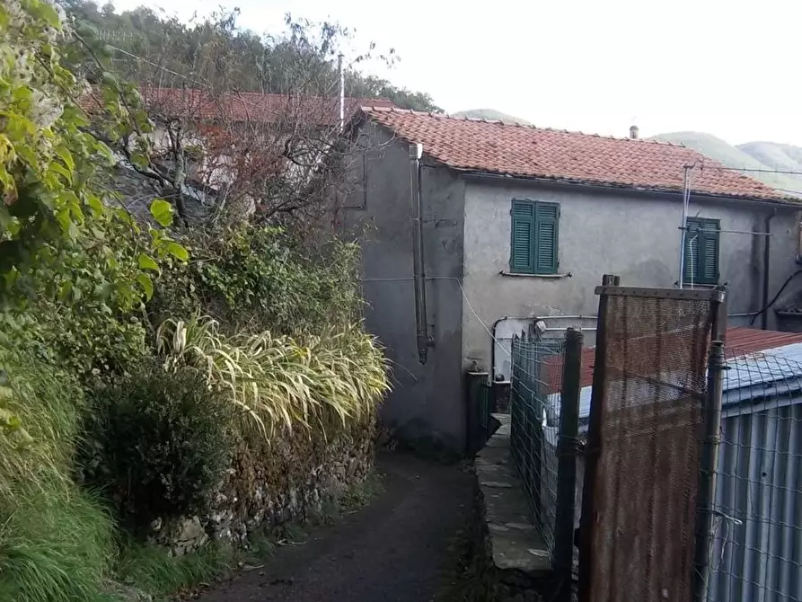 Immagine 2 di Casa bifamiliare in vendita  in dei piani a Zignago