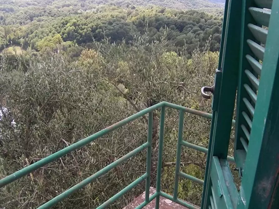 Immagine 8 di Casa indipendente in vendita  in Località Castiglione 10 a Bagnone