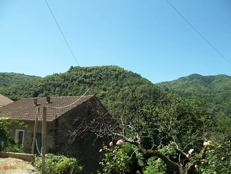 Immagine 2 di Casa bifamiliare in vendita  in Baselica 15 a Pontremoli