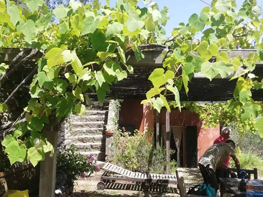 Immagine 11 di Casa indipendente in vendita  in palmaria a Portovenere