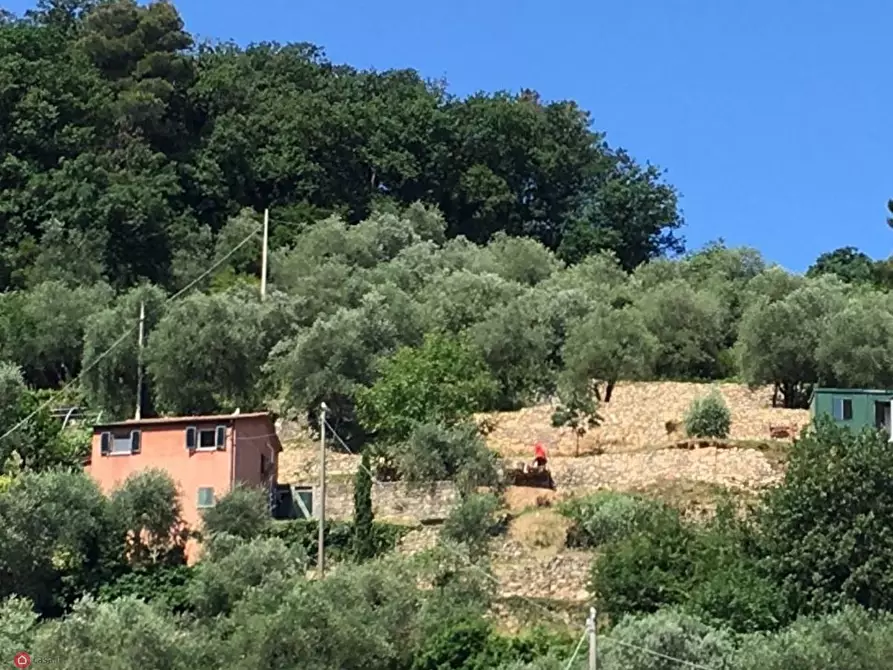 Immagine 13 di Casa indipendente in vendita  in palmaria a Portovenere