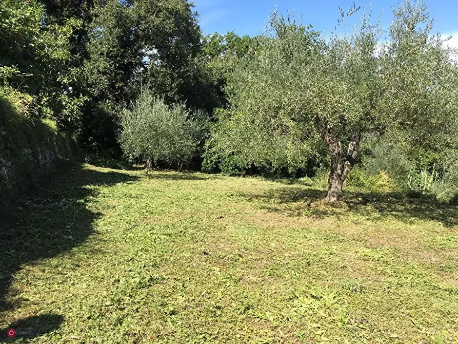 Immagine 17 di Casa indipendente in vendita  in palmaria a Portovenere