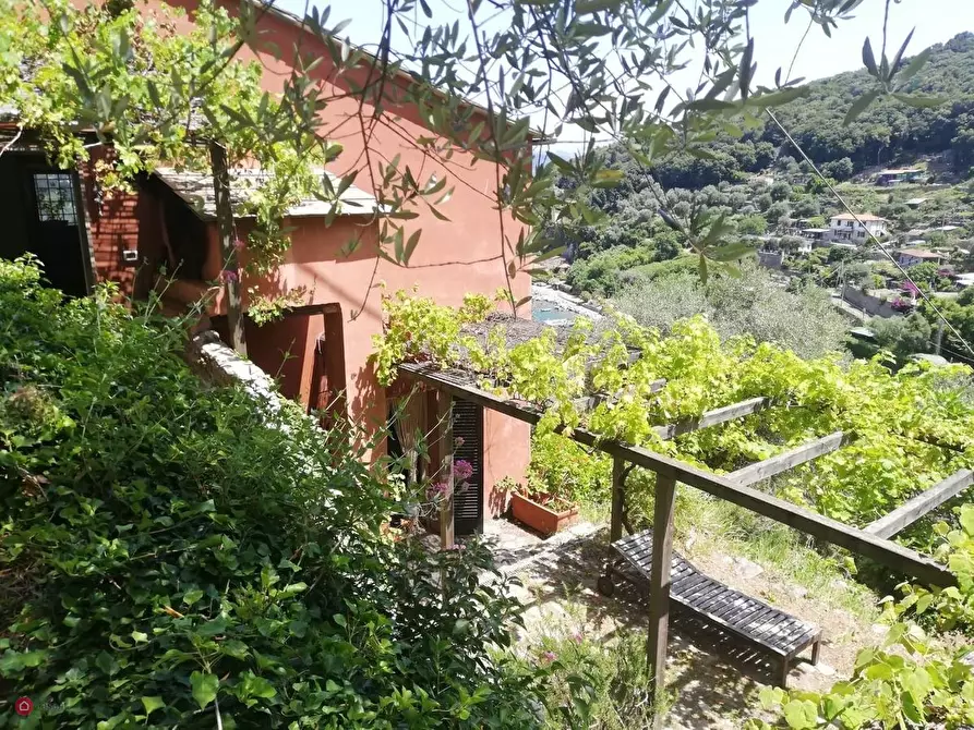 Immagine 5 di Casa indipendente in vendita  in palmaria a Portovenere