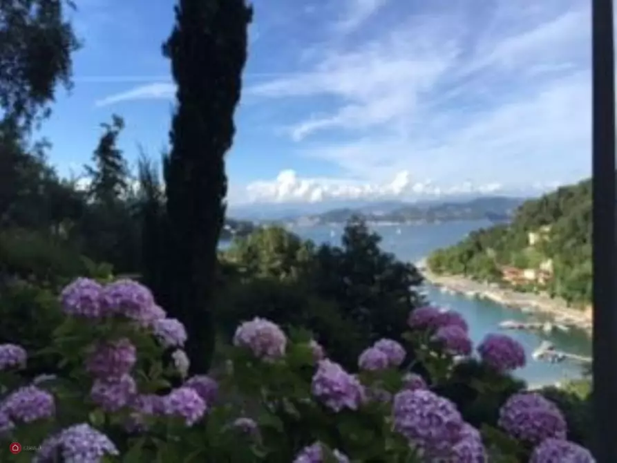 Immagine 6 di Casa indipendente in vendita  in palmaria a Portovenere