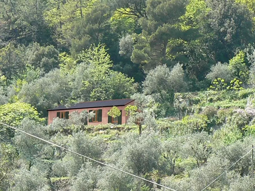Immagine 7 di Casa indipendente in vendita  in palmaria a Portovenere