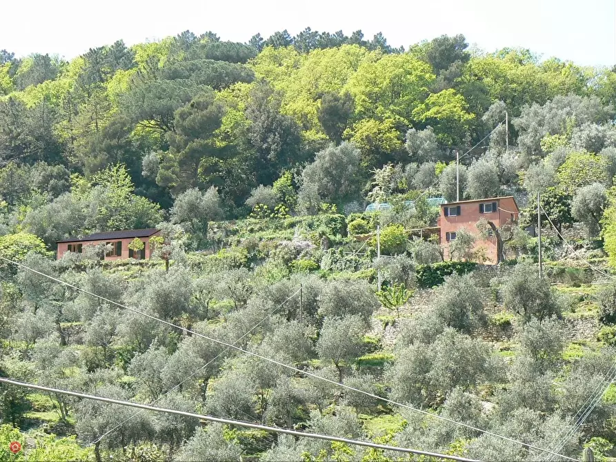 Immagine 8 di Casa indipendente in vendita  in palmaria a Portovenere