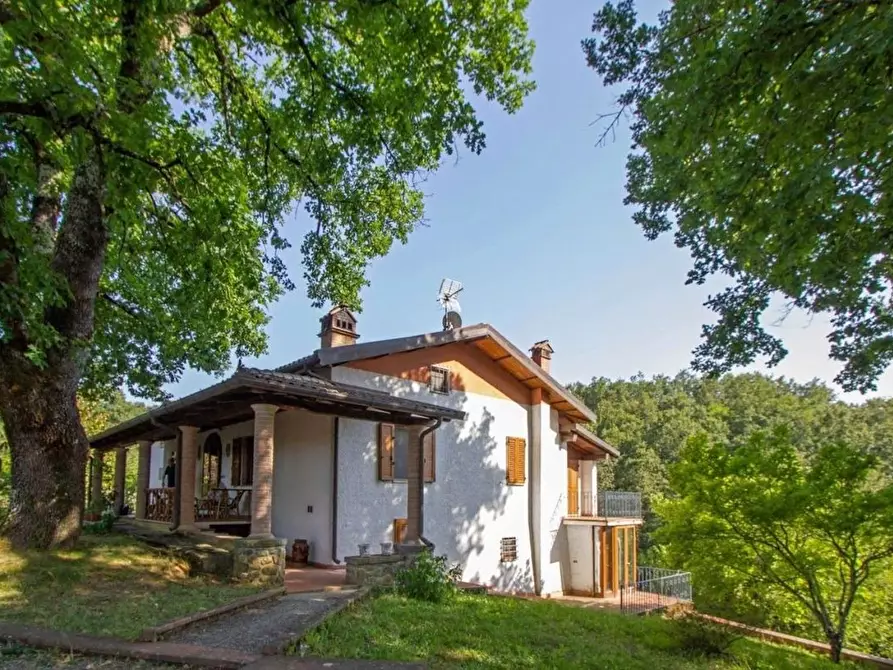 Immagine 2 di Villa in vendita  in serricciolo a Aulla