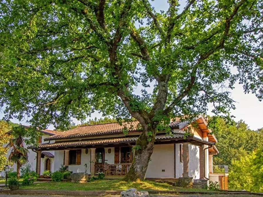 Immagine 4 di Villa in vendita  in serricciolo a Aulla