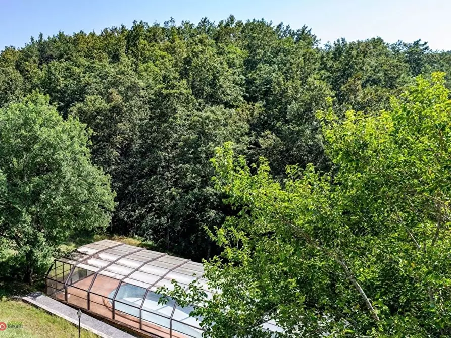 Immagine 6 di Villa in vendita  in serricciolo a Aulla