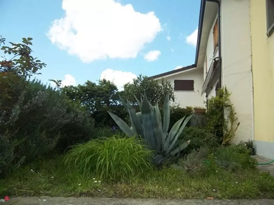 Immagine 5 di Casa indipendente in vendita  a Sesta Godano