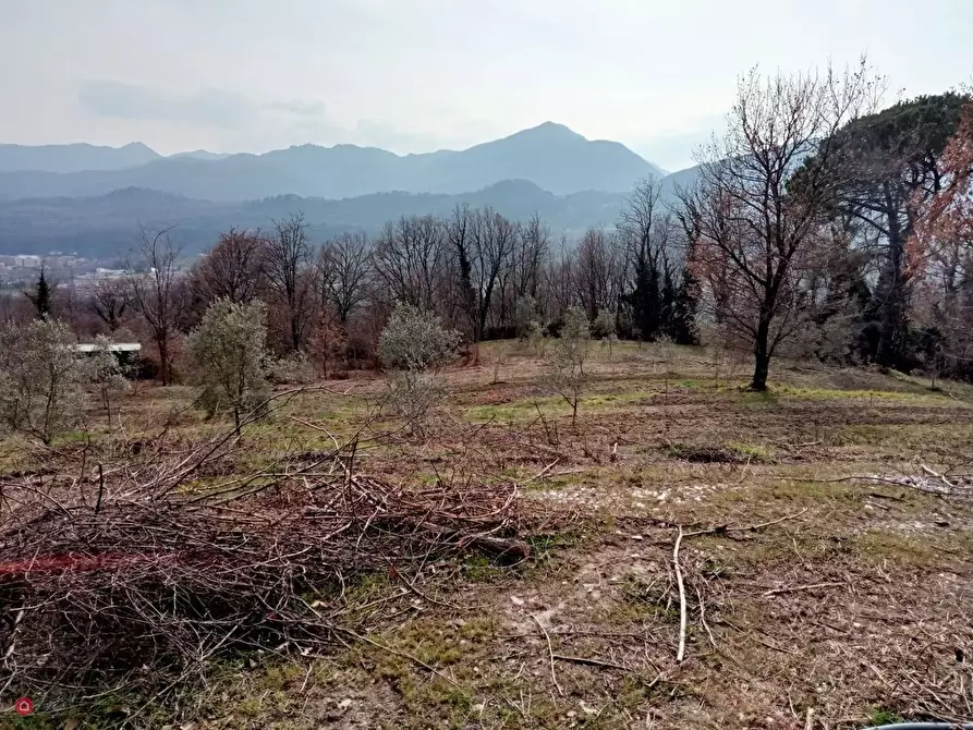 Immagine 17 di Appartamento in vendita  in Via Chiosi a Pontremoli