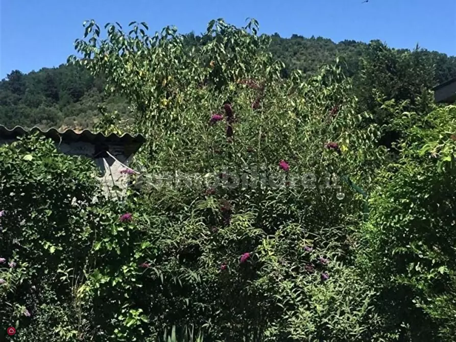 Immagine 5 di Casa indipendente in vendita  a Fivizzano