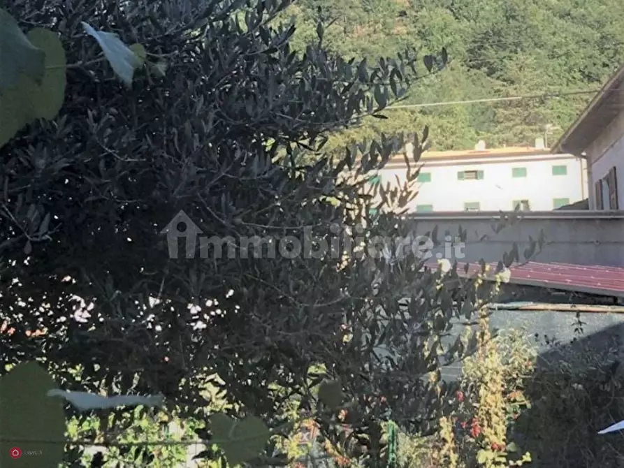 Immagine 8 di Casa indipendente in vendita  a Fivizzano